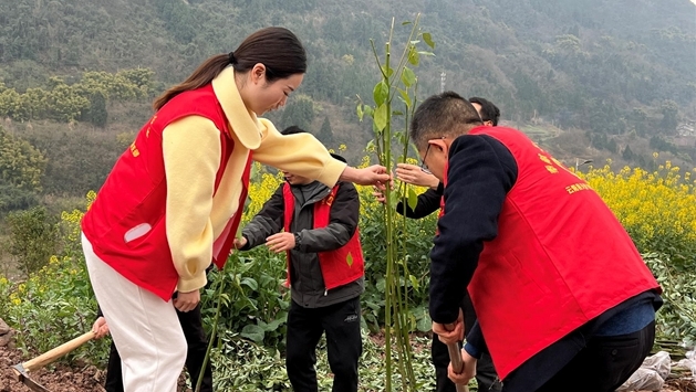  天景初中開展植樹護(hù)綠活動